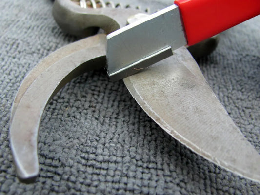 A Comprehensive Guide to Sharpening Bypass Pruners